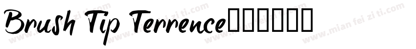 Brush Tip Terrence字体转换